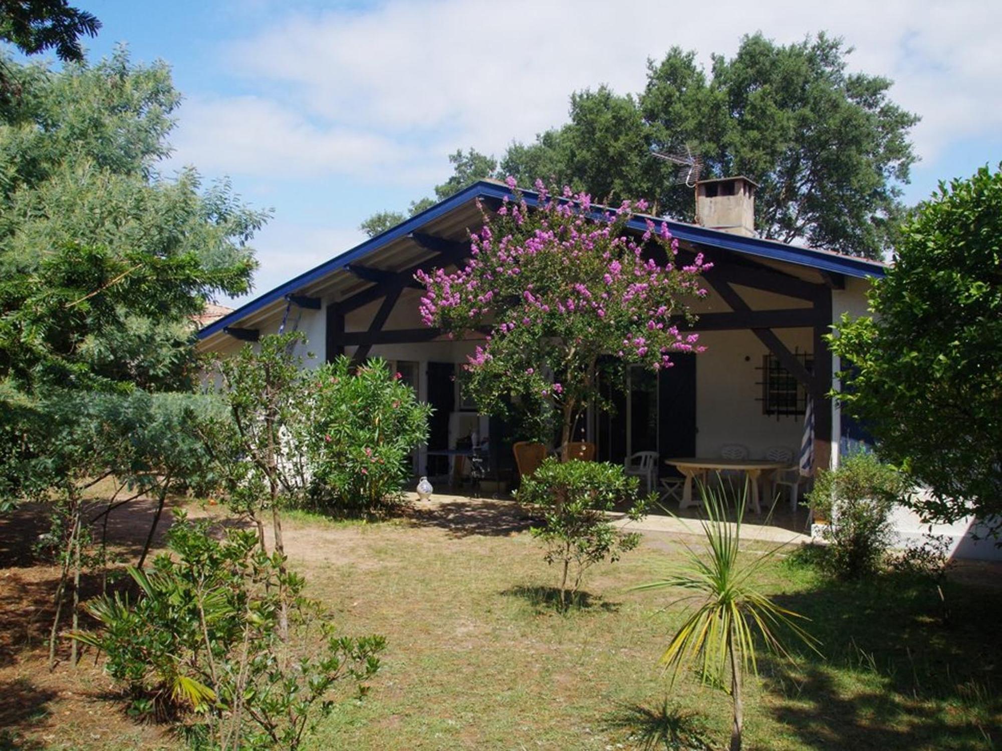 Grande Maison Landaise Pres Du Port De Capbreton, 4 Chambres, Jardin, Animaux Admis - Fr-1-413-232 Exterior foto